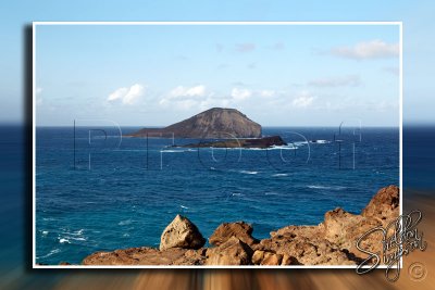 116214_Hawaii2010_M4D6428.jpg