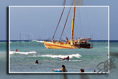 116257_Hawaii2010_M4D6472.jpg