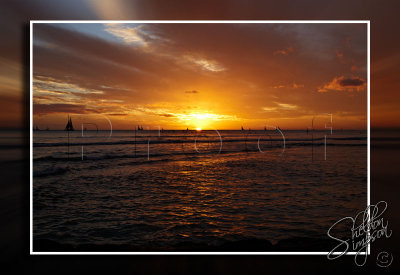 116338_Hawaii2010_D3S0981.jpg