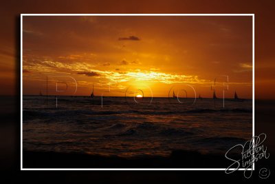 116340_Hawaii2010_D3S0983.jpg