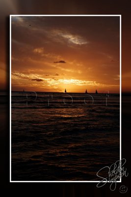 116345_Hawaii2010_D3S0988.jpg