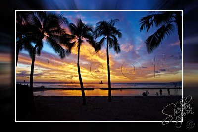 116366_Hawaii2010_D3S1009.jpg