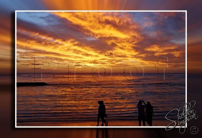 116380_Hawaii2010_D3S1023.jpg