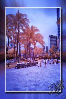 IMG_9053.jpg