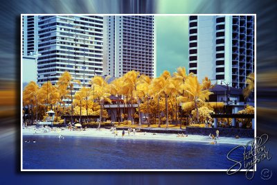 IMG_9088_1.jpg