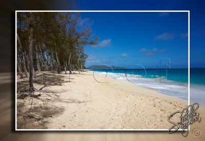 116576_Hawaii2010_D3S1101.jpg