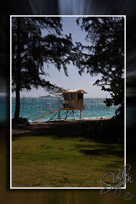 116582_Hawaii2010_D3S1107.jpg