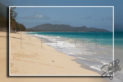 116597_Hawaii2010_M4D6657.jpg