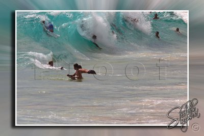 116631_Hawaii2010_M4D6694.jpg