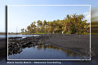 117346_Hawaii20101M4D7135.jpg