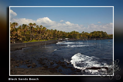 117649_Hawaii2010_M4D7427.jpg