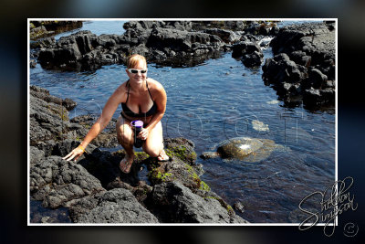 117710_Hawaii2010_M4D7490.jpg