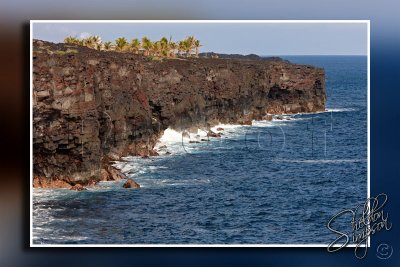 117874_Hawaii2010_D3S1503.jpg
