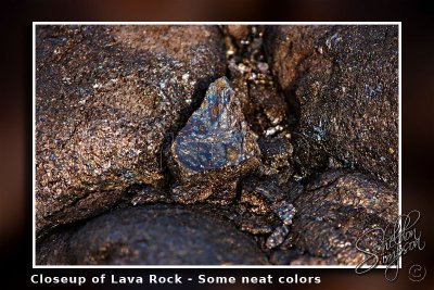 117916_Hawaii2010_D3S1516.jpg