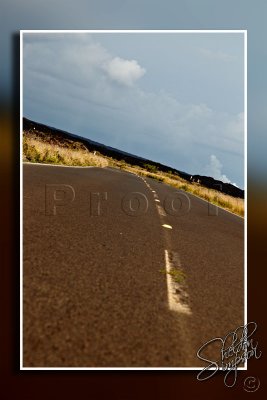 117941_Hawaii2010_M4D7664.jpg