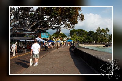 118342_Hawaii2010_M4D7957.jpg