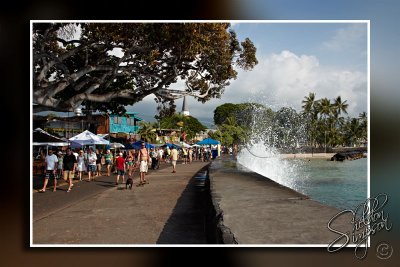 118346_Hawaii2010_M4D7961.jpg
