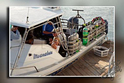 118395_Hawaii2010_M4D8010.jpg