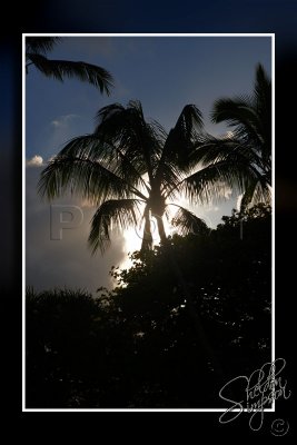 118582_Hawaii2010_D3S1703.jpg