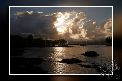 118591_Hawaii2010_D3S1712.jpg