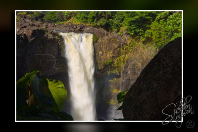 117090_Hawaii2010_M4D7020.jpg