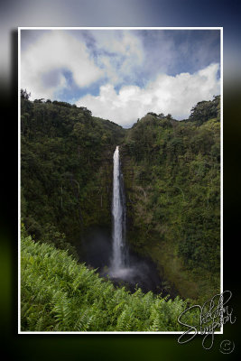 117172_Hawaii2010_D3S1303.jpg