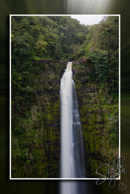 117189_Hawaii2010_D3S1320.jpg