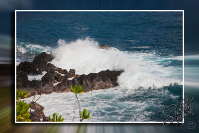 117294_Hawaii2010_D3S1425.jpg