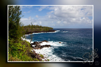 117299_Hawaii2010_M4D7085.jpg