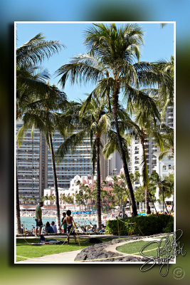 118647_Hawaii2010_M4D8085.jpg