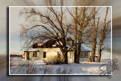 119355_December2010_M4D8585.jpg