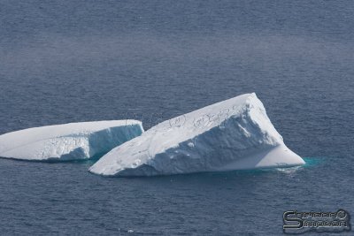 00615_nfld_d3.jpg