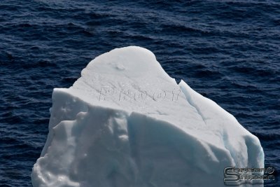 00623_nfld.jpg