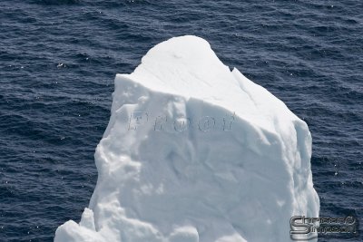 00633_nfld_d3.jpg
