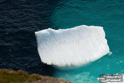 00636_nfld_d3.jpg