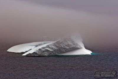 00640_nfld_d3.jpg