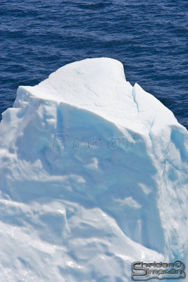 00678_nfld_d3.jpg