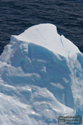 00702_nfld_.jpg