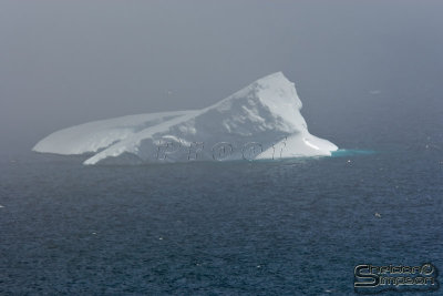 00706_nfld_.jpg
