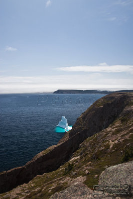 00733_nfld_d3-2.jpg