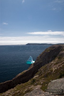 00733_nfld_d3.jpg