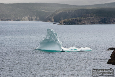 00826_nfld_.jpg