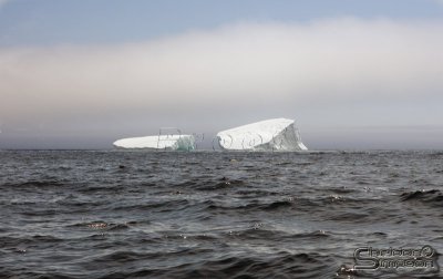 00970_nfld_d3.jpg