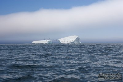 00976_nfld_d3.jpg