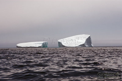 00982_nfld_d3.jpg