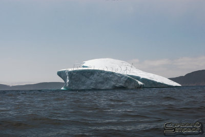 01014_nfld_d3.jpg