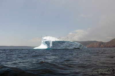 01018_nfld_d3.jpg