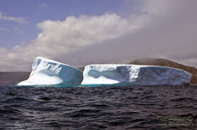 01034_nfld_d3.jpg