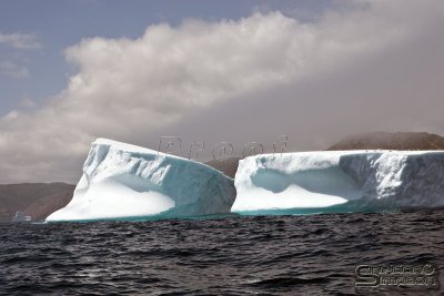 01036_nfld_d3.jpg