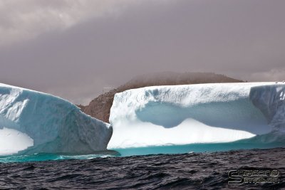 01037_nfld_d3.jpg